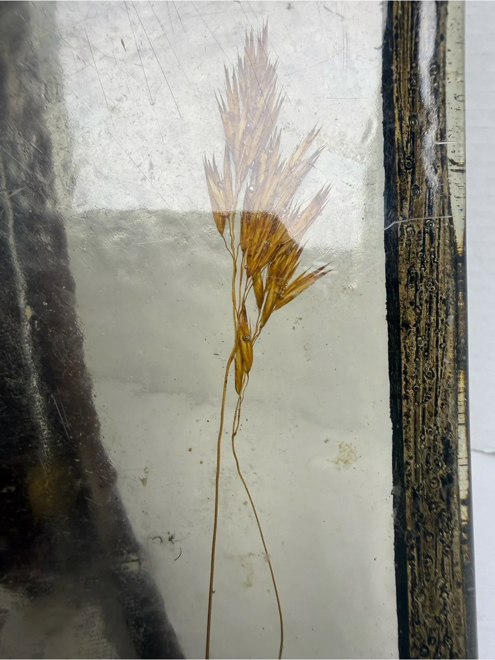 Botanical Glass Panel Wall Decor in Amber and Cream